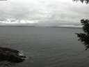./images/koeye/fitz-hugh/20200831/fitz-hugh20200831_180001.jpg