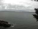./images/koeye/fitz-hugh/20200831/fitz-hugh20200831_180501.jpg