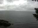 ./images/koeye/fitz-hugh/20200831/fitz-hugh20200831_182501.jpg