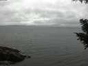 ./images/koeye/fitz-hugh/20200831/fitz-hugh20200831_183501.jpg