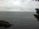 ./images/koeye/fitz-hugh/20200831/fitz-hugh20200831_185002.jpg