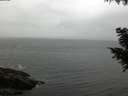 ./images/koeye/fitz-hugh/20200831/fitz-hugh20200831_185502.jpg
