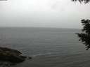 ./images/koeye/fitz-hugh/20200831/fitz-hugh20200831_191002.jpg