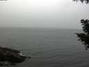 ./images/koeye/fitz-hugh/20200831/fitz-hugh20200831_191502.jpg