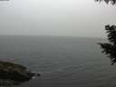 ./images/koeye/fitz-hugh/20200831/fitz-hugh20200831_192502.jpg
