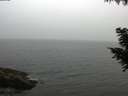 ./images/koeye/fitz-hugh/20200831/fitz-hugh20200831_193502.jpg