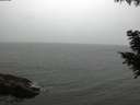 ./images/koeye/fitz-hugh/20200831/fitz-hugh20200831_194002.jpg