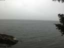 ./images/koeye/fitz-hugh/20200831/fitz-hugh20200831_194501.jpg