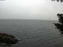 ./images/koeye/fitz-hugh/20200831/fitz-hugh20200831_195001.jpg