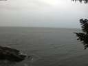 ./images/koeye/fitz-hugh/20200831/fitz-hugh20200831_195501.jpg