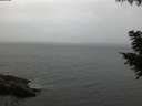 ./images/koeye/fitz-hugh/20200831/fitz-hugh20200831_201501.jpg