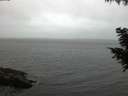./images/koeye/fitz-hugh/20200831/fitz-hugh20200831_202001.jpg