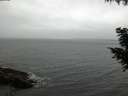 ./images/koeye/fitz-hugh/20200831/fitz-hugh20200831_202501.jpg