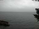 ./images/koeye/fitz-hugh/20200831/fitz-hugh20200831_203501.jpg