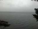 ./images/koeye/fitz-hugh/20200831/fitz-hugh20200831_204001.jpg