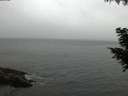 ./images/koeye/fitz-hugh/20200831/fitz-hugh20200831_204501.jpg