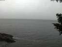 ./images/koeye/fitz-hugh/20200831/fitz-hugh20200831_205001.jpg