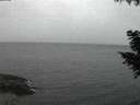 ./images/koeye/fitz-hugh/20200831/fitz-hugh20200831_205501.jpg
