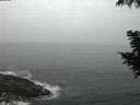 ./images/koeye/fitz-hugh/20200901/fitz-hugh20200901_061002.jpg