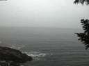 ./images/koeye/fitz-hugh/20200901/fitz-hugh20200901_061502.jpg