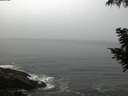 ./images/koeye/fitz-hugh/20200901/fitz-hugh20200901_062501.jpg
