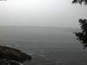 ./images/koeye/fitz-hugh/20200901/fitz-hugh20200901_063502.jpg