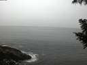 ./images/koeye/fitz-hugh/20200901/fitz-hugh20200901_064002.jpg