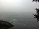 ./images/koeye/fitz-hugh/20200901/fitz-hugh20200901_072502.jpg