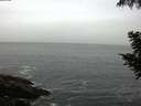 ./images/koeye/fitz-hugh/20200901/fitz-hugh20200901_085501.jpg