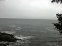 ./images/koeye/fitz-hugh/20200901/fitz-hugh20200901_093501.jpg