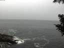 ./images/koeye/fitz-hugh/20200901/fitz-hugh20200901_095002.jpg