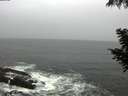 ./images/koeye/fitz-hugh/20200901/fitz-hugh20200901_100502.jpg
