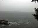 ./images/koeye/fitz-hugh/20200901/fitz-hugh20200901_104001.jpg