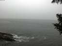 ./images/koeye/fitz-hugh/20200901/fitz-hugh20200901_104501.jpg