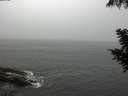 ./images/koeye/fitz-hugh/20200901/fitz-hugh20200901_105001.jpg