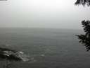 ./images/koeye/fitz-hugh/20200901/fitz-hugh20200901_105501.jpg