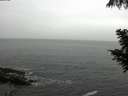 ./images/koeye/fitz-hugh/20200901/fitz-hugh20200901_110501.jpg
