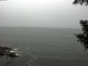./images/koeye/fitz-hugh/20200901/fitz-hugh20200901_112501.jpg