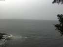 ./images/koeye/fitz-hugh/20200901/fitz-hugh20200901_114501.jpg
