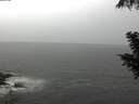 ./images/koeye/fitz-hugh/20200901/fitz-hugh20200901_115001.jpg