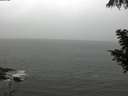 ./images/koeye/fitz-hugh/20200901/fitz-hugh20200901_115501.jpg