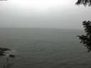 ./images/koeye/fitz-hugh/20200901/fitz-hugh20200901_120501.jpg