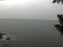 ./images/koeye/fitz-hugh/20200901/fitz-hugh20200901_122001.jpg