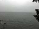 ./images/koeye/fitz-hugh/20200901/fitz-hugh20200901_122501.jpg