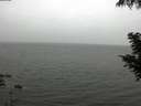 ./images/koeye/fitz-hugh/20200901/fitz-hugh20200901_123501.jpg