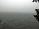 ./images/koeye/fitz-hugh/20200901/fitz-hugh20200901_124002.jpg