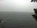 ./images/koeye/fitz-hugh/20200901/fitz-hugh20200901_124502.jpg