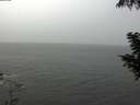 ./images/koeye/fitz-hugh/20200901/fitz-hugh20200901_125002.jpg