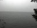 ./images/koeye/fitz-hugh/20200901/fitz-hugh20200901_125502.jpg