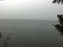 ./images/koeye/fitz-hugh/20200901/fitz-hugh20200901_130502.jpg